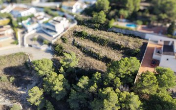 Property slide 8