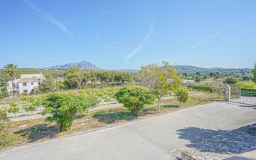 Property slide 42