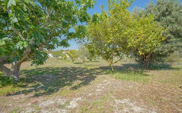 Property slide 44
