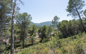 Property slide 25