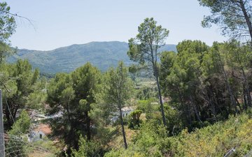 Property slide 31