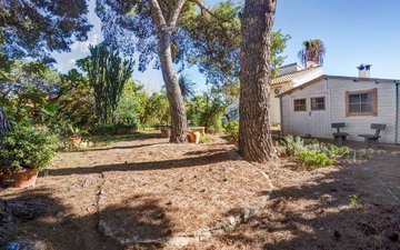 Property slide 33