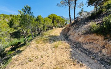 Property slide 14