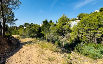 Property slide 15