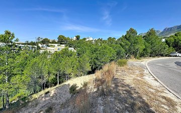 Property slide 19