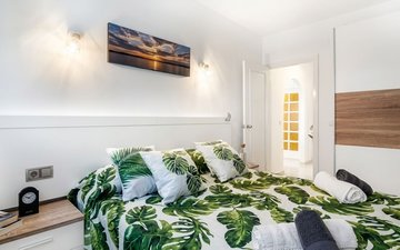 Property slide 11