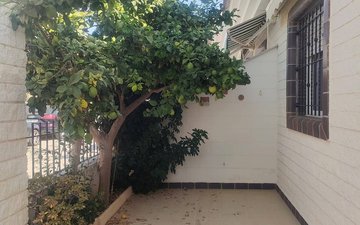 Property slide 31