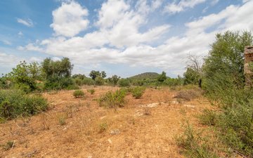 Property slide 17