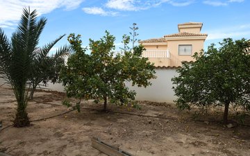 Property slide 23