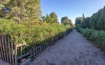 Property slide 30