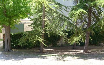 Property slide 32