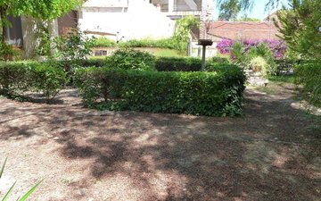 Property slide 36