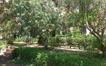 Property slide 38
