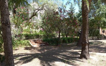 Property slide 39