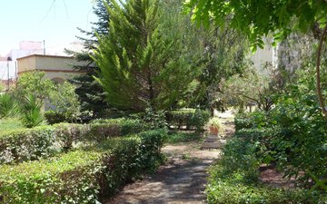 Property slide 41
