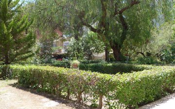 Property slide 42