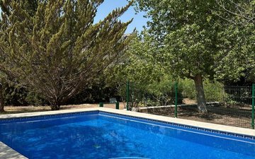 Property slide 31