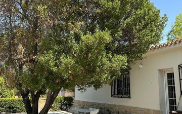 Property slide 36