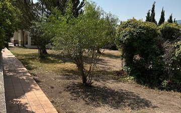 Property slide 41