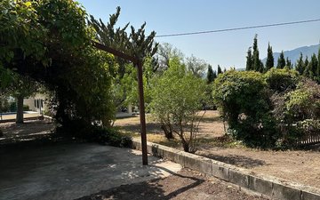 Property slide 42