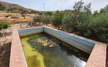 Property slide 33