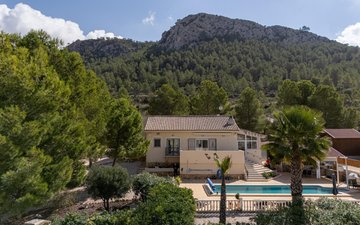 Property slide 41