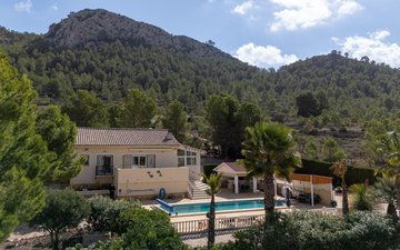 Property slide 42