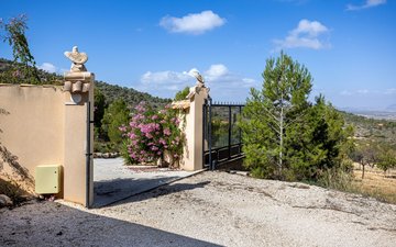 Property slide 42