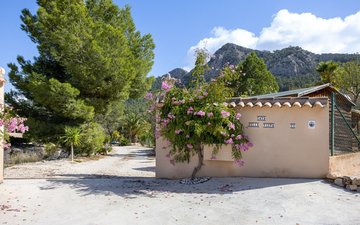 Property slide 43
