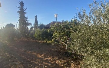 Property slide 37
