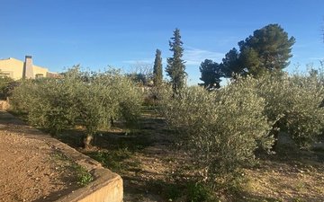 Property slide 41