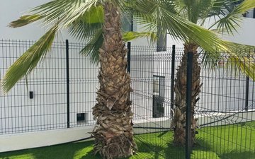 Property slide 46