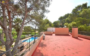 Property slide 8