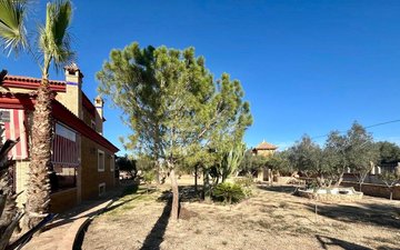 Property slide 13