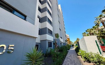 Property slide 31