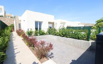 Property slide 19