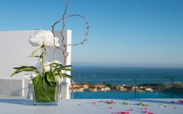 Diapositiva 22 de la propiedad