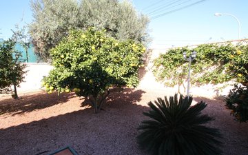 Property slide 11