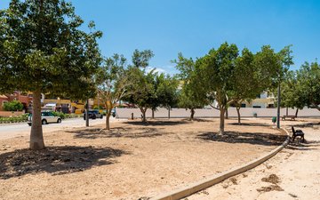 Property slide 43