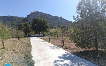 Property slide 13