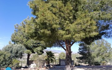 Property slide 34
