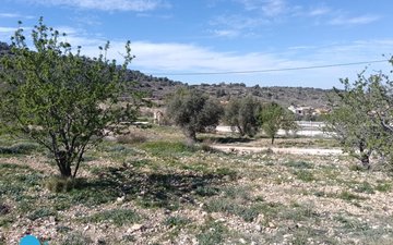 Property slide 11