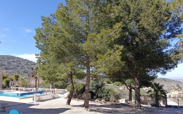 Property slide 12