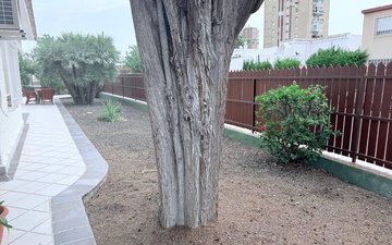 Property slide 27
