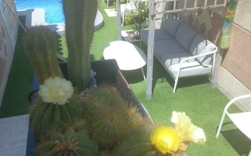 Property slide 18