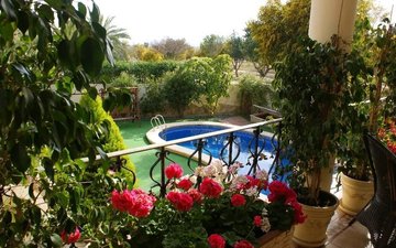 Property slide 38