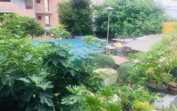 Property slide 24