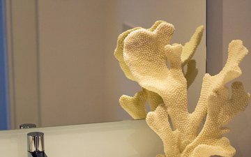 Slide de propriedade 39