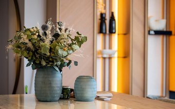 Slide de propriedade 41