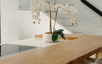 Property slide 40